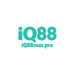 iq88compro