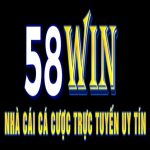 58winvipskin