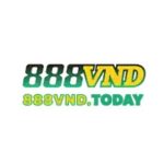 888vndtoday01