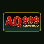 aq999bdio