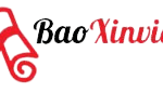 baoxinviec