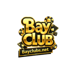 baycl ubsnet