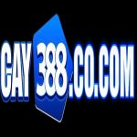 Cay388