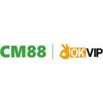 cm88seocom11