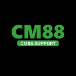 cm88support1