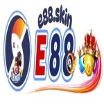 E88 SKIN