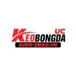 euroebikevn