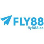 fly888co1