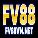 Fv88vnnet1