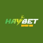 Haybet