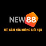 NEW88 – Cổng Giải Trí Trực Tuyến