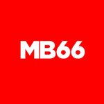 MB66