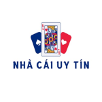 nhacaiuytinsi