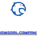 nowgoalcompany