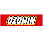 ozowinnet