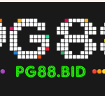 pg88bid1gw