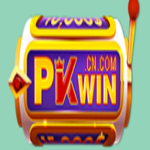pkwincncom