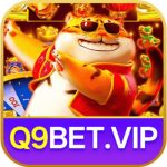 q9betviporg