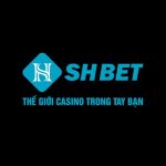 shbetidd
