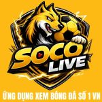 Socolive stream