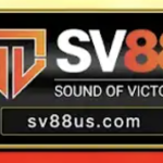 sv88provip7
