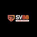 sv88spacee