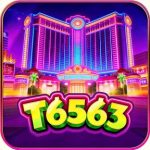T6563