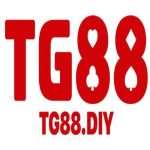 tg88diy