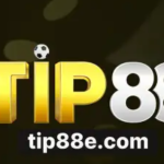 tip88ecomx8