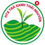 trathainguyen