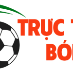 tructiepbongdadz