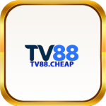 tv88cheap