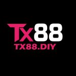 tx88diy