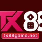 tx88gamenet2