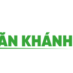 vankhanhtvbiz
