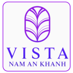 vistainsight