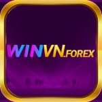 WINVN – Nền Tảng Cá Cược & Đầu Tư Trực Tuyến Đa Dạng