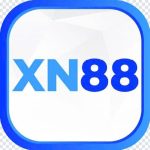 xn88spot